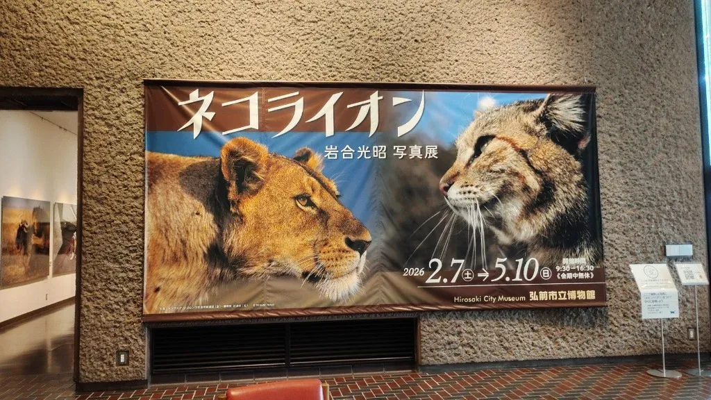ネコライオンの大型タペストリー